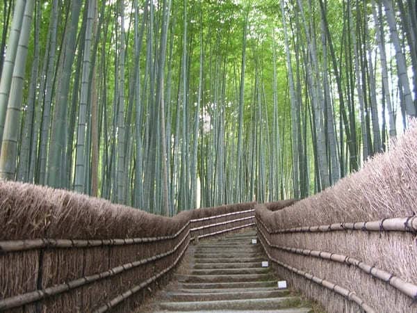 Adashinonembutsuji Temple