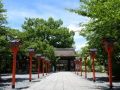 Hirano Shrine – Uuhouin Sakura Course