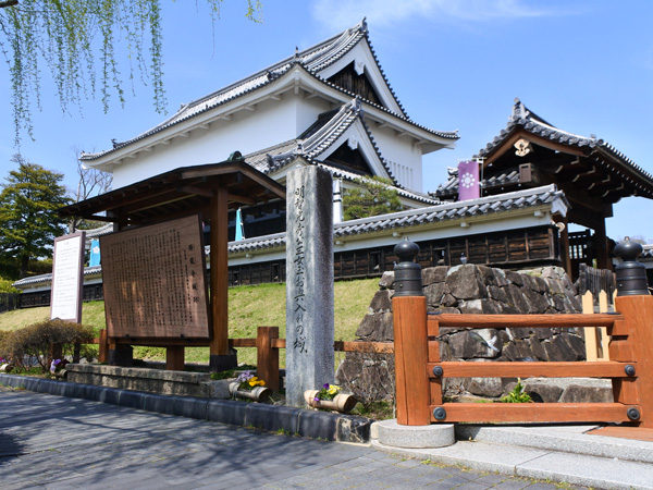 Shoryuji Castle Park