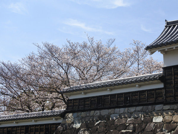 Shoryuji Castle Park