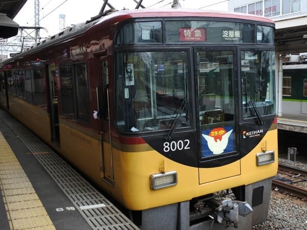 Public Transportation