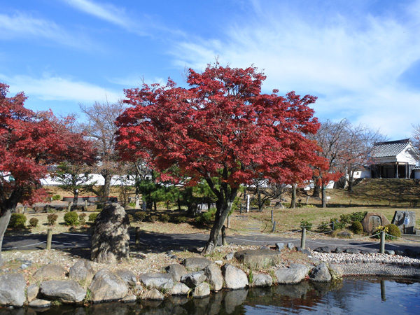 Shoryuji Castle Park