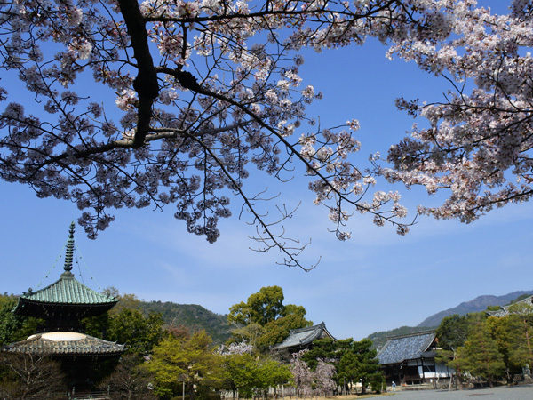 Seiryoji Temple