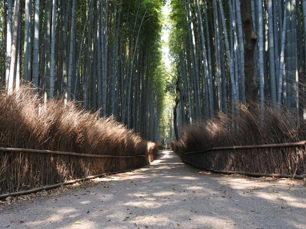 Arashiyama