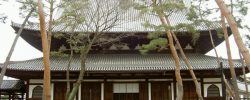 Shokokuji Temple