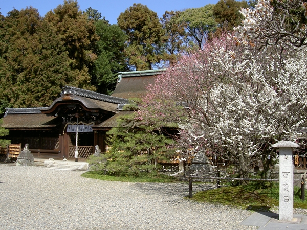 Umemiya Taisha Shrine