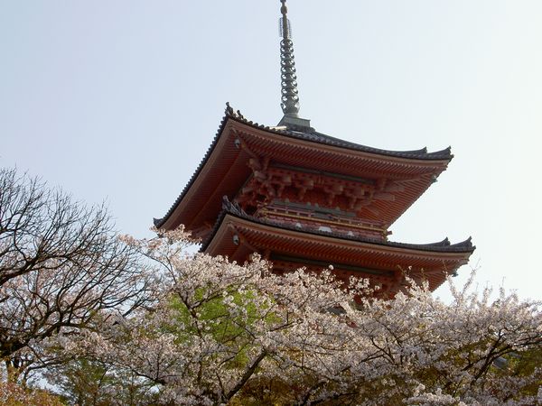 Kiyomizudera Temple – Gionshira-kawa Sakura Course
