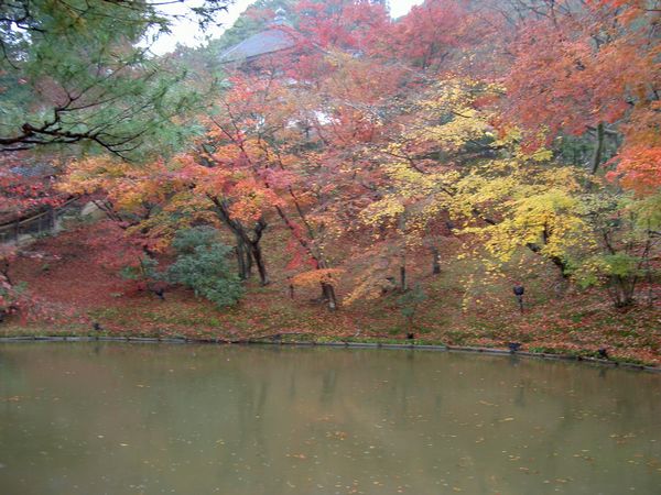 Kodaiji Temple