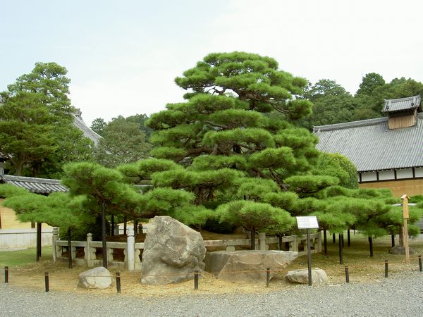 Konkai Komyoji Temple