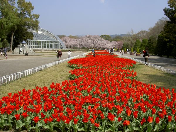 Kyoto Botanical Garden