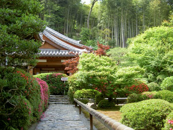 Suzumushidera Temple